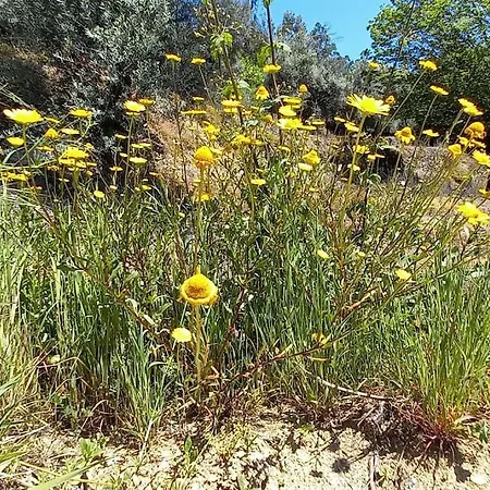 Quinta Pomar Do Pontido Holiday home