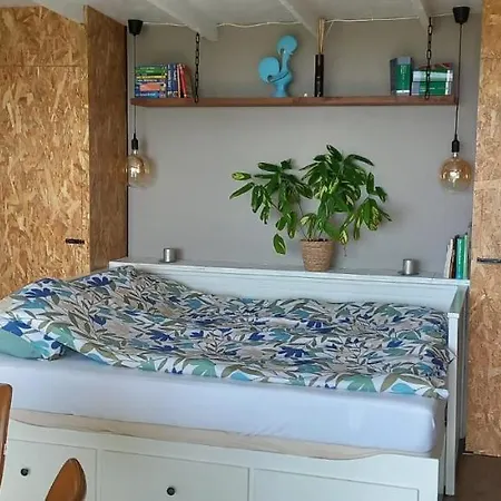 Quinta Pomar Do Pontido * Cabeceiras de Basto