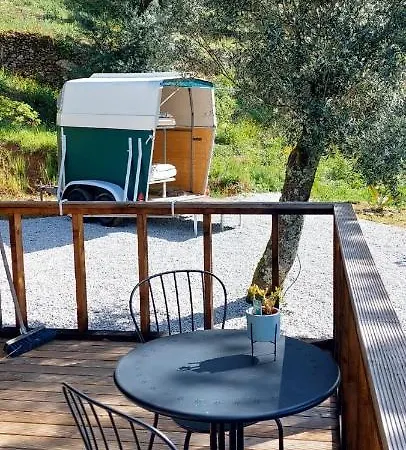 Quinta Pomar Do Pontido * Cabeceiras de Basto