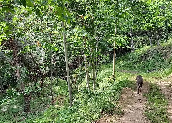 Сasa de vacaciones Quinta Pomar Do Pontido Cabeceiras de Basto