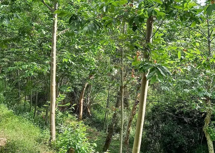 Quinta Pomar Do Pontido Сasa de vacaciones