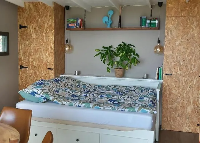 Quinta Pomar Do Pontido * Cabeceiras de Basto