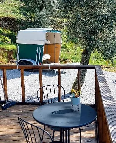 Quinta Pomar Do Pontido * Cabeceiras de Basto